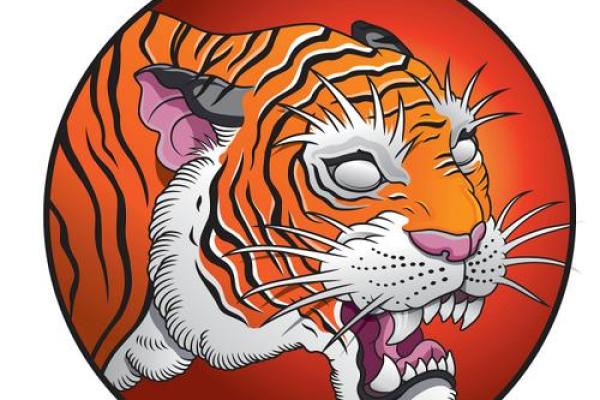 1998年出生的人命运解析：属虎的探索与成长之路