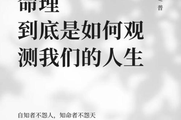 全偏无正命理分析:揭示人生轨迹的无形力量与智慧 全偏无正命理分析:揭示人生轨迹的无形力量与智慧