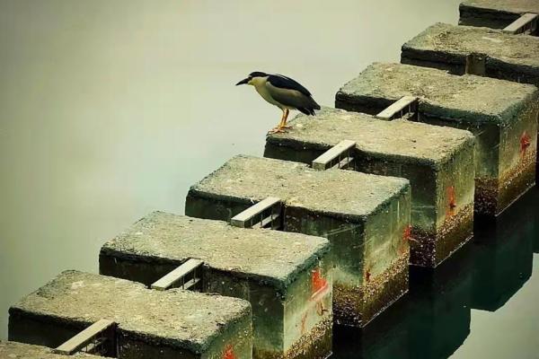 命带学堂星的奥秘：解锁人生轨迹的神秘钥匙