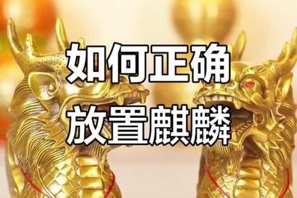 命理学解读：如何选择最适合自己的麒麟摆件