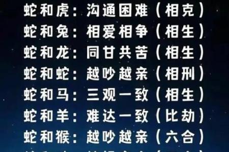 属兔男人的命运解析：巧妙生存与自我价值的实现之路