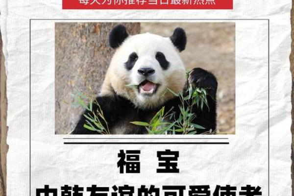 为什么熊猫命好:从优雅生活到全球宠爱 为什么熊猫命好:从优雅生活到全球宠爱