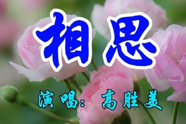 用命换来的辉煌：成语接龙的魅力与启示