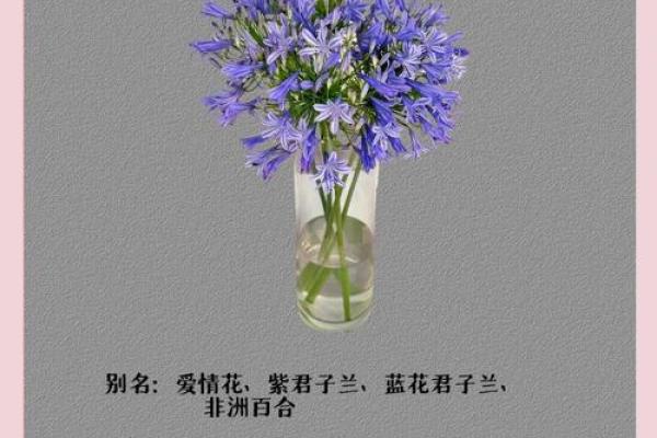 花草命:解读花草背后的深刻意义与文化魅力 花草命:解读花草背后的深刻意义与文化魅力