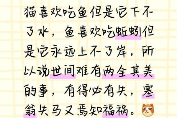 幽默九命猫：生活中的小哲学与智慧