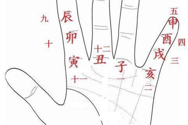 酉时出生的男人命运如何？揭示内心深处的秘密与潜力