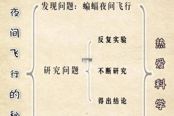 1979年命卯时的神秘与奇遇：解析命理与人生的交织