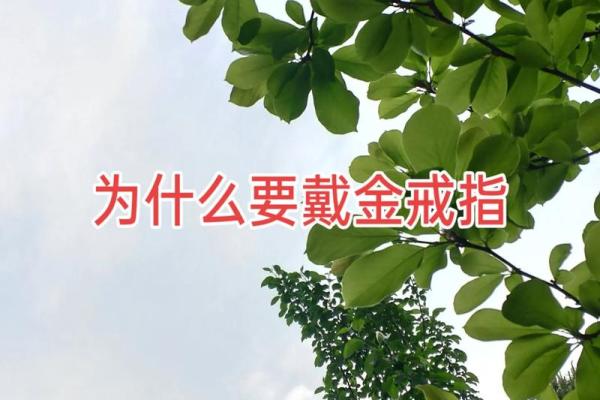 1976年蛇命缺什么?揭开命运的神秘面纱! 1976年蛇命缺什么?揭开命运的神秘面纱!