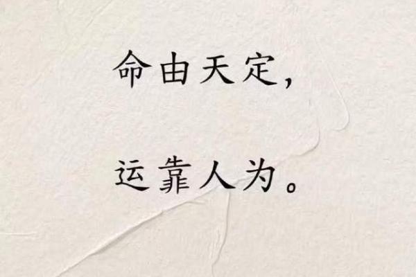 你命中注定：揭秘如何判断人生的命运与轨迹