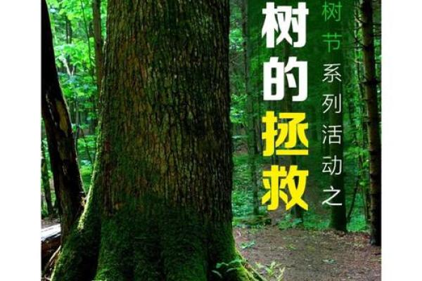 根据什么命的人栽树容易活，深入探讨树木与命运的奇妙关系