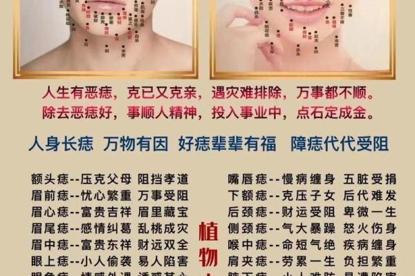 女命下巴短象征着哪些性格特征和命运轨迹？