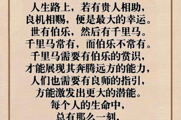 惟命是从：忠诚的真谛与深厚的情谊