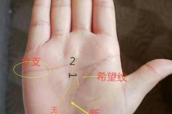 手上纹路揭秘:从命运的角度看你的生活运势 手上纹路揭秘:从命运的角度看你的生活运势