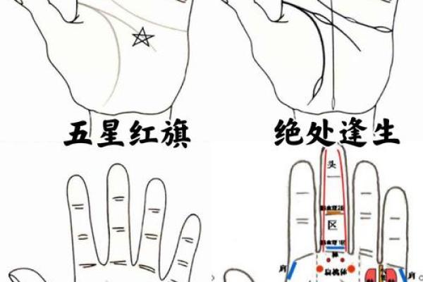 手上纹路揭秘:从命运的角度看你的生活运势 手上纹路揭秘:从命运的角度看你的生活运势