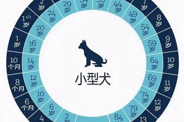 属狗90后命运解析：稳定与挑战的共舞之路