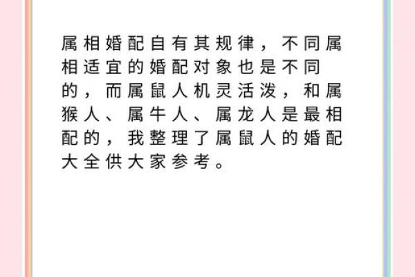 鼠年子时出生的命运解析：了解你的命理特征与人生方向