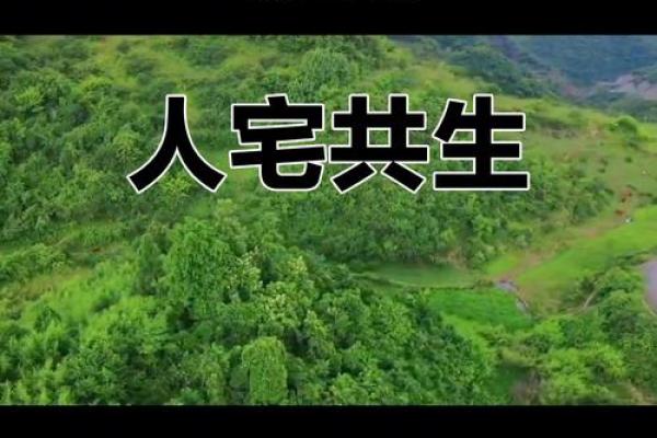 揭开1977年宅命的神秘面纱：让你了解住宅与命运的微妙联系