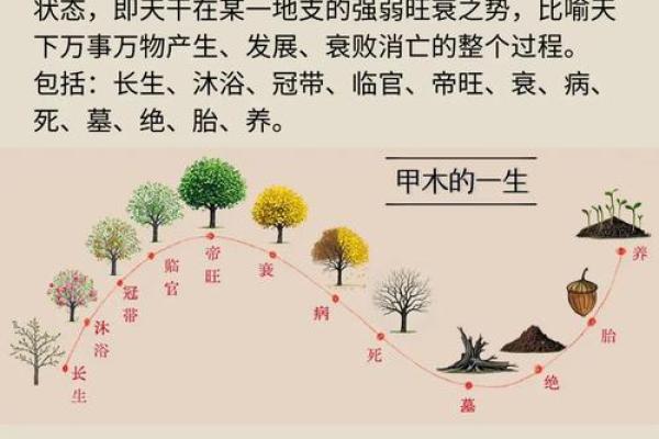 命格高低的奥秘：洞悉人生的起伏与机遇