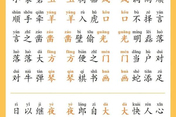 乐在其中，命由己造，成语接龙的魅力之旅