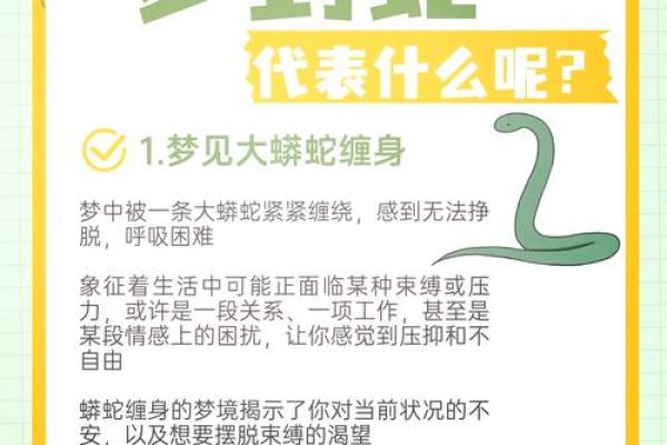 属蛇人：富贵命背后的命理解析与生活智慧