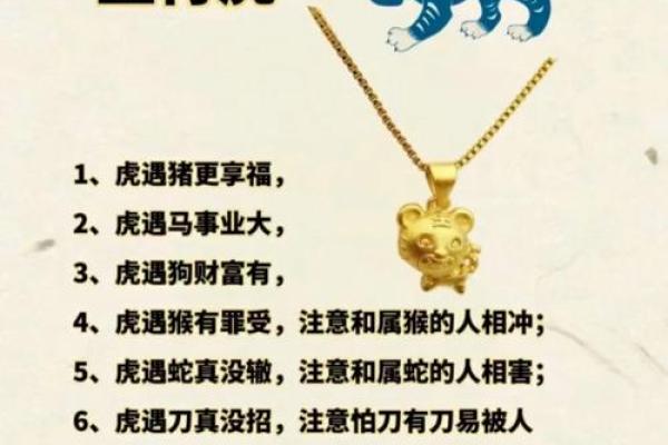 属蛇人：富贵命背后的命理解析与生活智慧