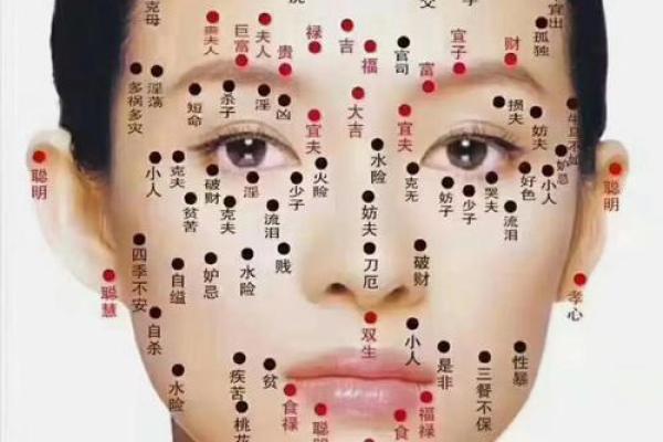 揭秘面相中的皇后命:如何通过面相判断女性的贵气与风华 揭秘面相中的皇后命:如何通过面相判断女性的贵气与风华