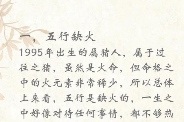 1996年属猪之人的命运与性格解析
