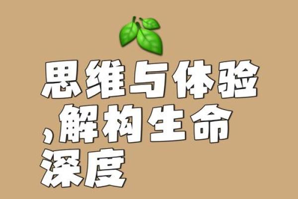 20243年:命理新视角,探索未来人生的奥秘与指引 20243年:命理新视角,探索未来人生的奥秘与指引