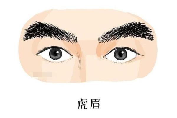 男人乳毛多,命运的隐秘符号?揭开你不了解的真相 男人乳毛多,命运的隐秘符号?揭开你不了解的真相