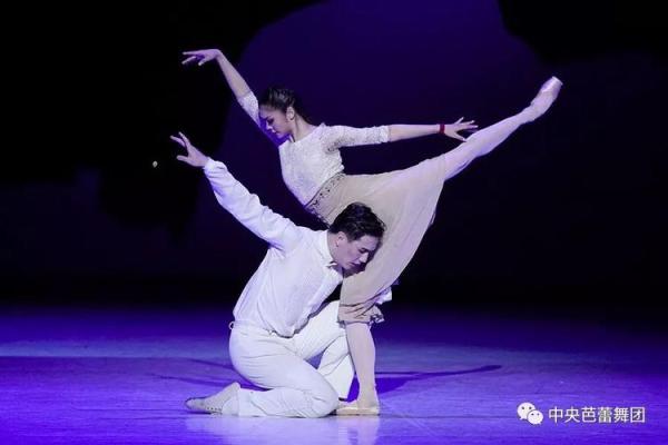 《巳时命理揭秘：你与未来的缘分从此刻启航》