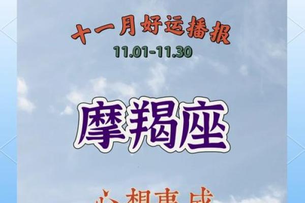 探秘摩羯座的未来运势：命运的掌控与挑战