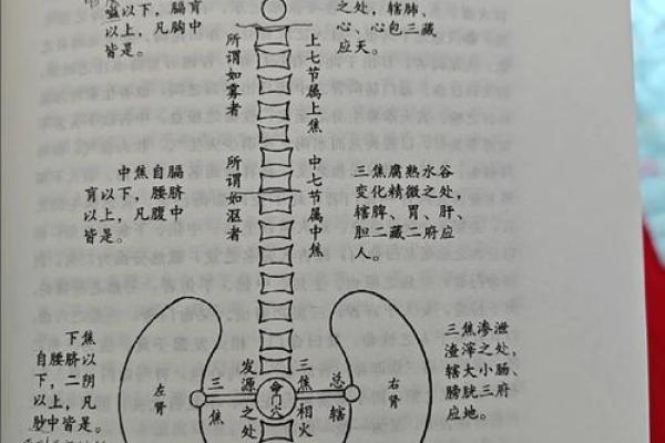 炉中火命人的字画选择与风水调和之道 炉中火命人的字画选择与风水调和之道