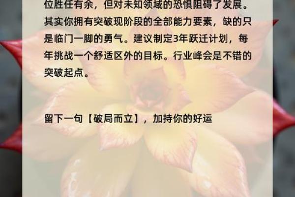 木命人如何选择行业:事业与命运的完美结合 木命人如何选择行业:事业与命运的完美结合