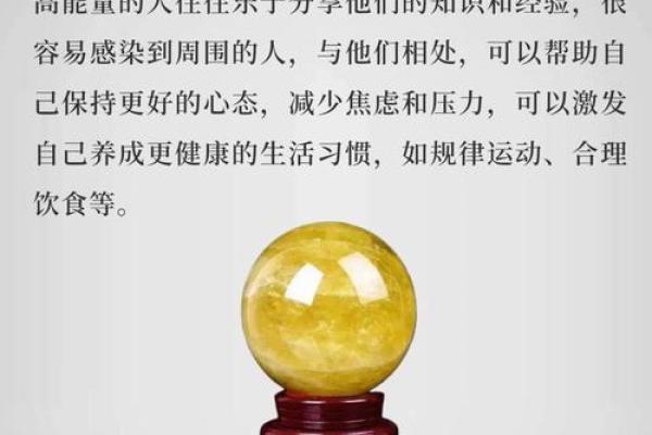 木命人如何选择行业:事业与命运的完美结合 木命人如何选择行业:事业与命运的完美结合