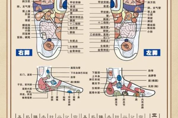 男人脚板弯曲的特征与命运解析:脚下的秘密,人生的方向! 男人脚板弯曲的特征与命运解析:脚下的秘密,人生的方向!