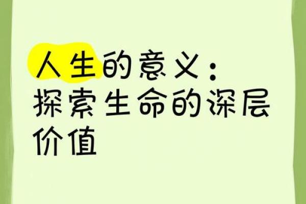 命字下边有心，探寻生命的深度与温度