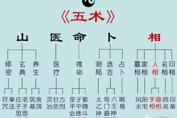 五命凝光与六命凝光：探索两者间的微妙差异与独特魅力