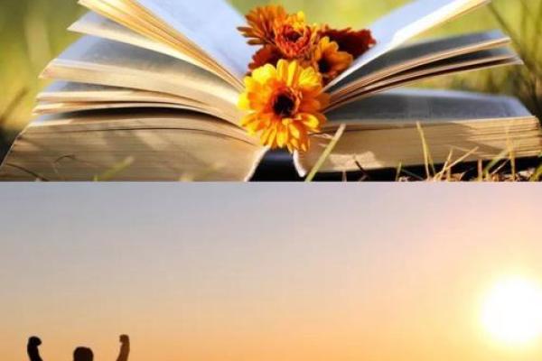 探秘命格:双夫命中女性人生的选择与挑战 探秘命格:双夫命中女性人生的选择与挑战