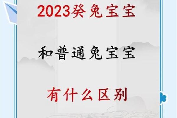 2023年正月:兔年与癸水命的深刻启示与未来展望 2023年正月:兔年与癸水命的深刻启示与未来展望