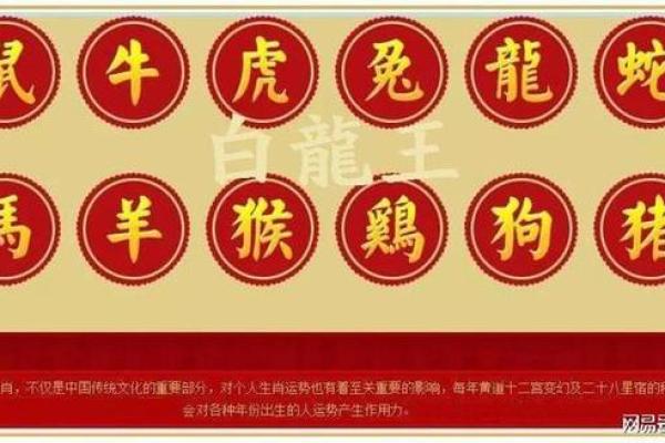 2022年的生肖与命运：解析虎年出生人的特质与人生之路