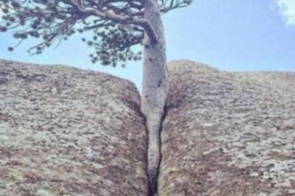 从险境中逃生,勇敢面对生命的挑战 从险境中逃生,勇敢面对生命的挑战