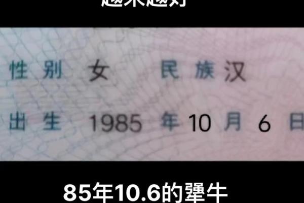 1972年属牛的人是什么命？探讨命运与性格的深度解析