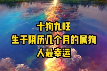 2020年狗年：木命与水命的深度解读与影响