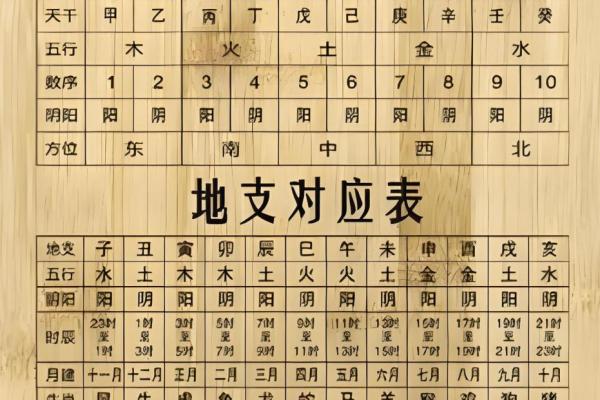 阴历10月24日出生的人命运解析:命格与性格的深度剖析 阴历10月24日出生的人命运解析:命格与性格的深度剖析