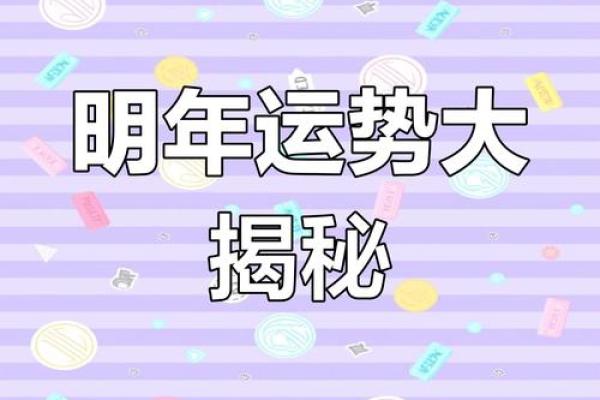 1984年出生的你,命中注定有什么样的特点与运势? 1984年出生的你,命中注定有什么样的特点与运势?
