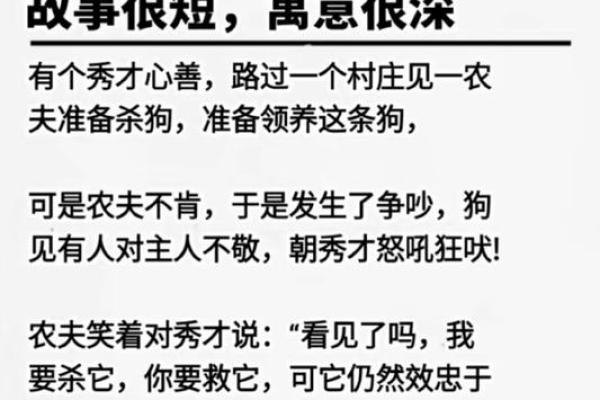 命里不缺狗:解读命理与狗文化的深层联系 命里不缺狗:解读命理与狗文化的深层联系
