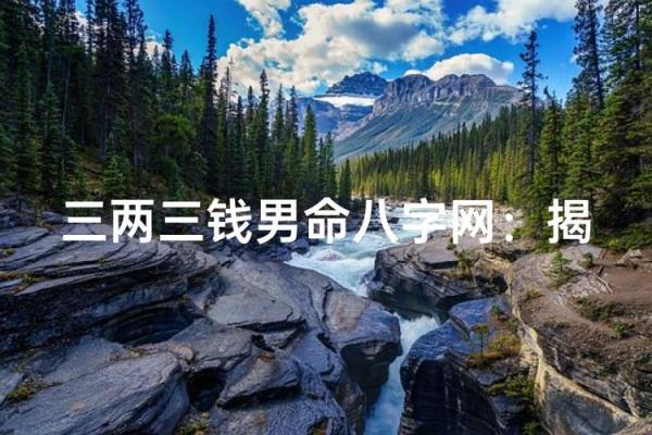 2020年出生的男人命运解析:寻找人生的方向与机遇 2020年出生的男人命运解析:寻找人生的方向与机遇