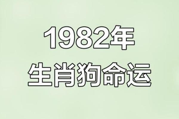 解读82年狗的命运与运势:缺什么、如何补救? 解读82年狗的命运与运势:缺什么、如何补救?