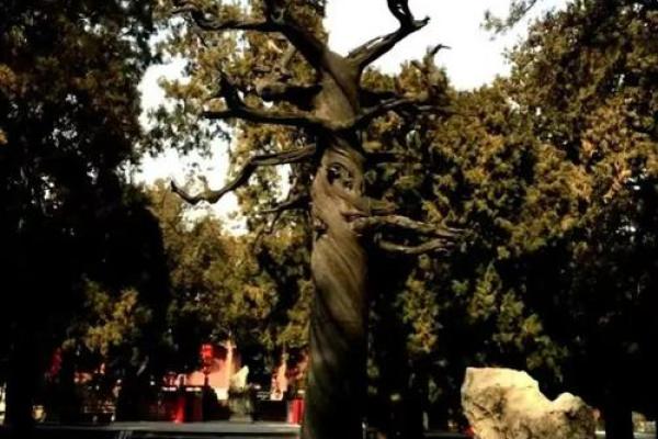 探寻希命奔丧的奥秘:生命与死亡的文化交织 探寻希命奔丧的奥秘:生命与死亡的文化交织