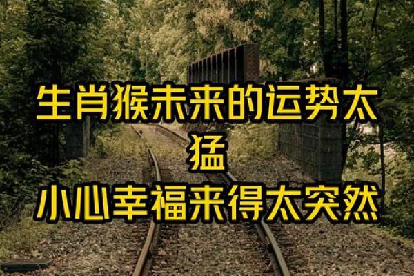 2015年猴年:猴子的命运与运势解析,与你的未来息息相关! 2015年猴年:猴子的命运与运势解析,与你的未来息息相关!